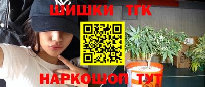 твердый Будённовск