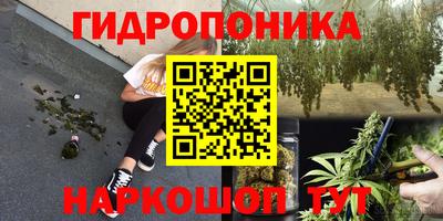 твердый Будённовск
