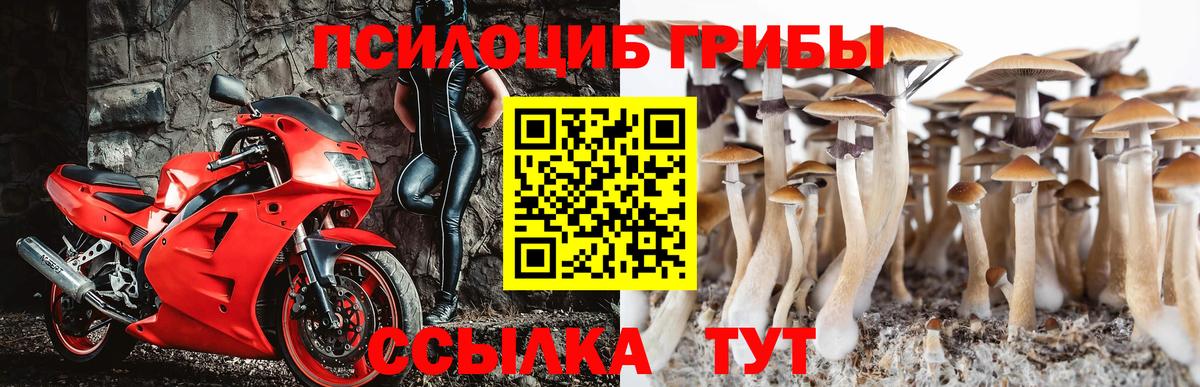 Галлюциногенные грибы Psilocybine cubensis  Вход с VPN  Донской  Псилоцибиновые грибы GOLDEN TEACHER 